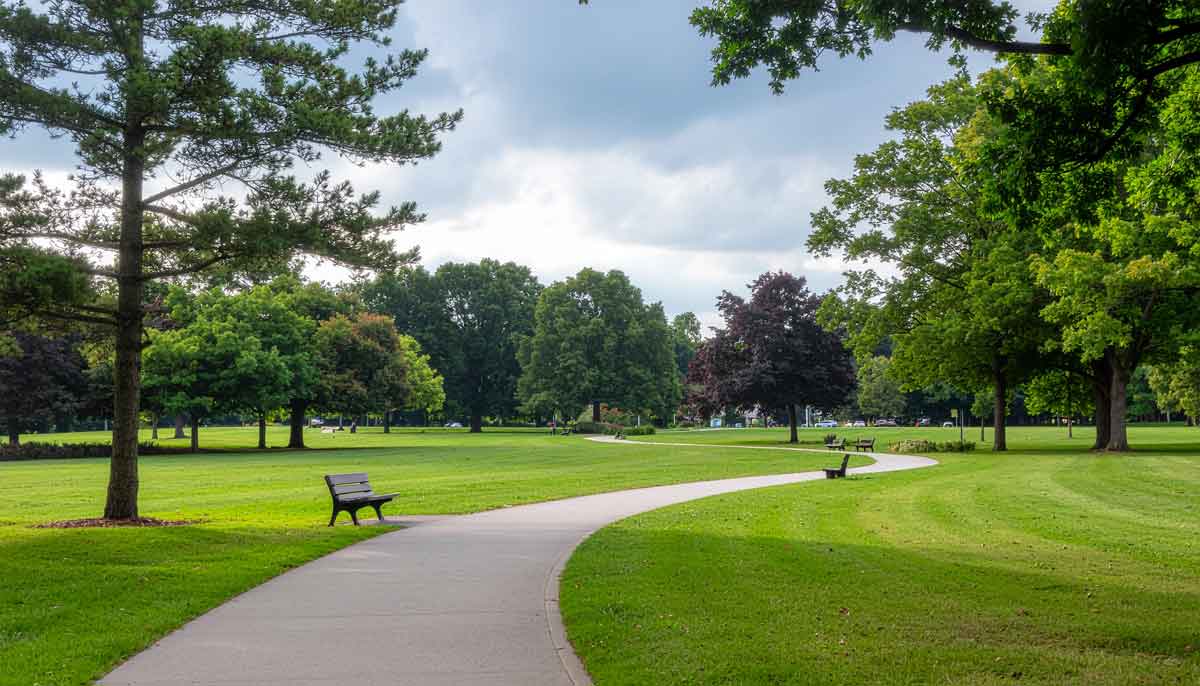 Park scene representing ways to give to the Food & Care Coalition